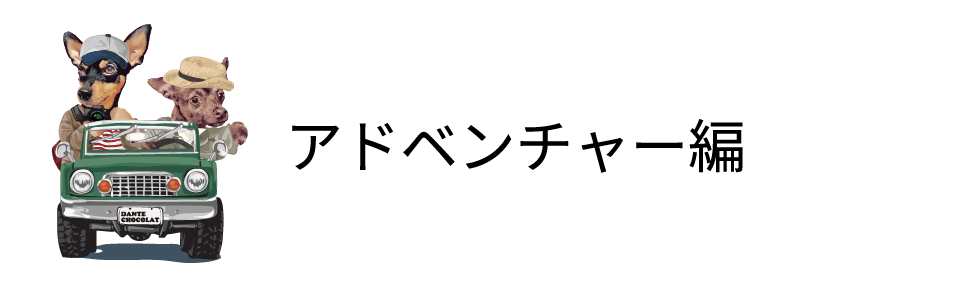アドベンチャー編