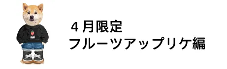 4月限定 フルーツアップリケ編