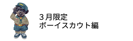 ３月限定ボーイスカウト編