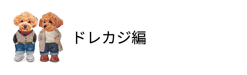 ドレカジ編
