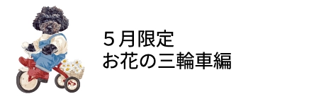 ５月限定 お花畑の三輪車編