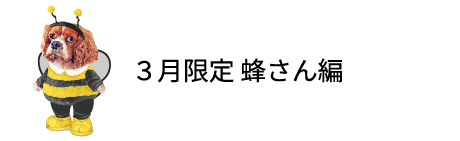 ３月限定蜂さん編