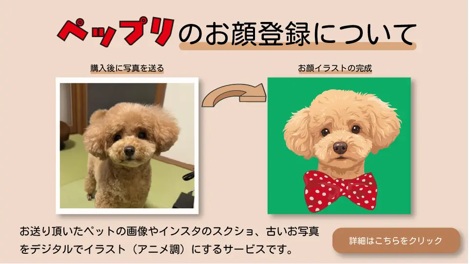 slide_okaotouroku_pc.webp