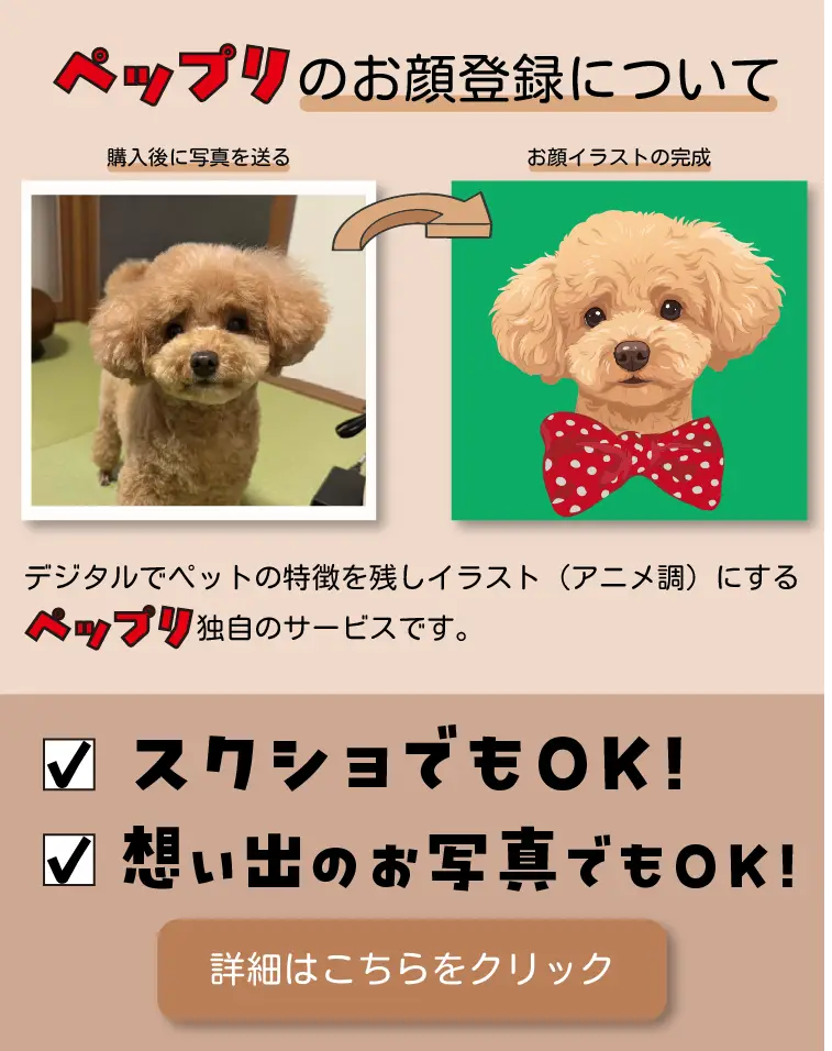 slide_okaotouroku_sp.webp