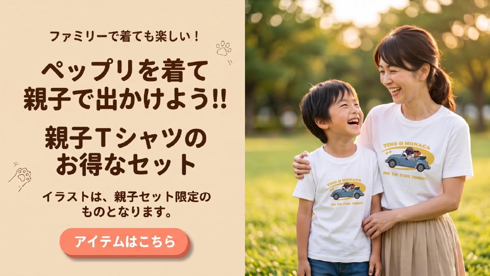 slide_pac_pc.webp