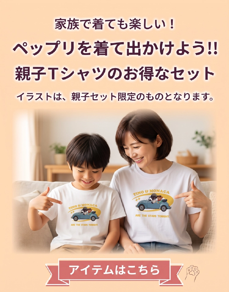 slide_pac_sp.webp