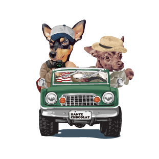 アドベンチャー編