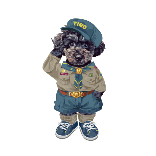 ３月限定 ボーイスカウト編