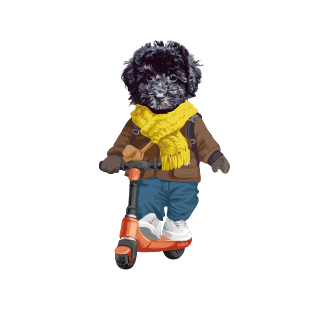 キックボード編