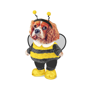 ３月限定 蜂さん編