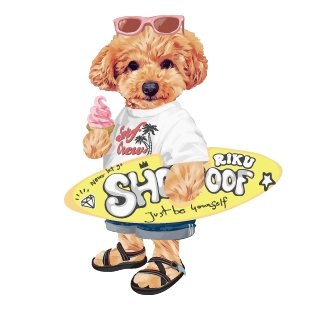 夏限定 サーフボード編
