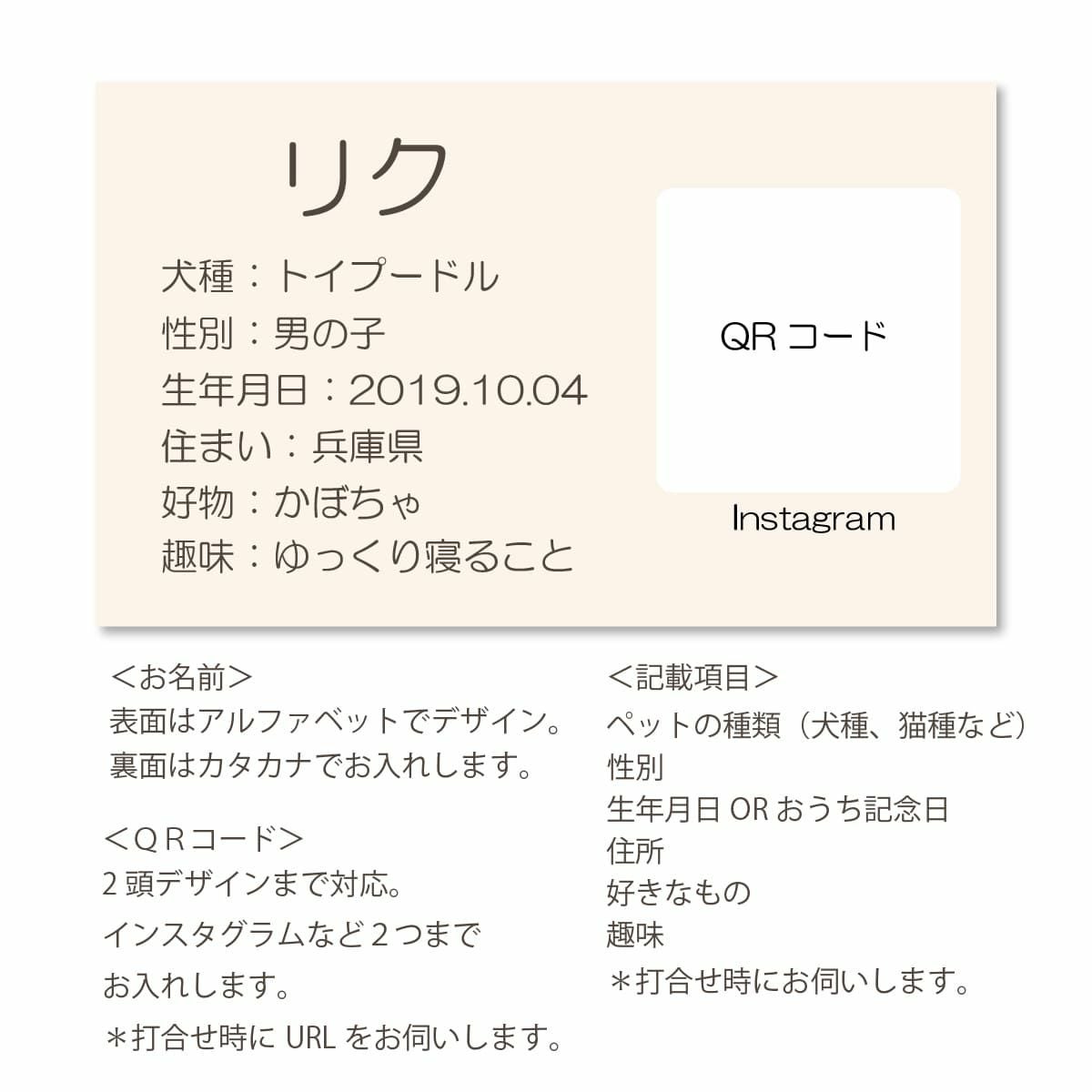 裏面デザイン
