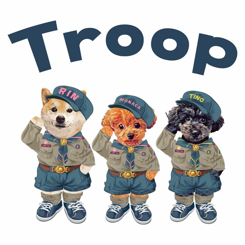 ３頭組み合わせサンプル