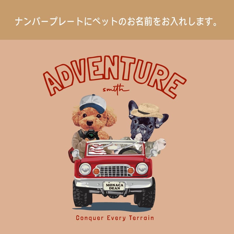 このイラストのカスタマイズについて
